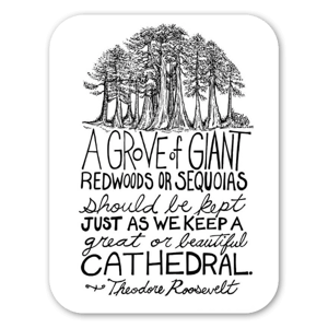 This sticker is based on Rick's pen & ink illustration series titled "Tree Drawings," and was inspired by this reverential Theodore Roosevelt quote; "A grove of giant Redwoods or Sequoias should be kept just as we keep a great or beautiful cathedral." It encourages us to care for nature as we would any sacred place.