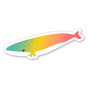 Cute rainbow whale