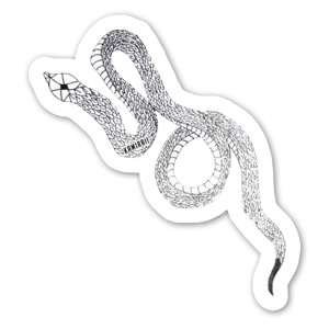 Young serpent living in a mystical forest where he met lot of witches. 